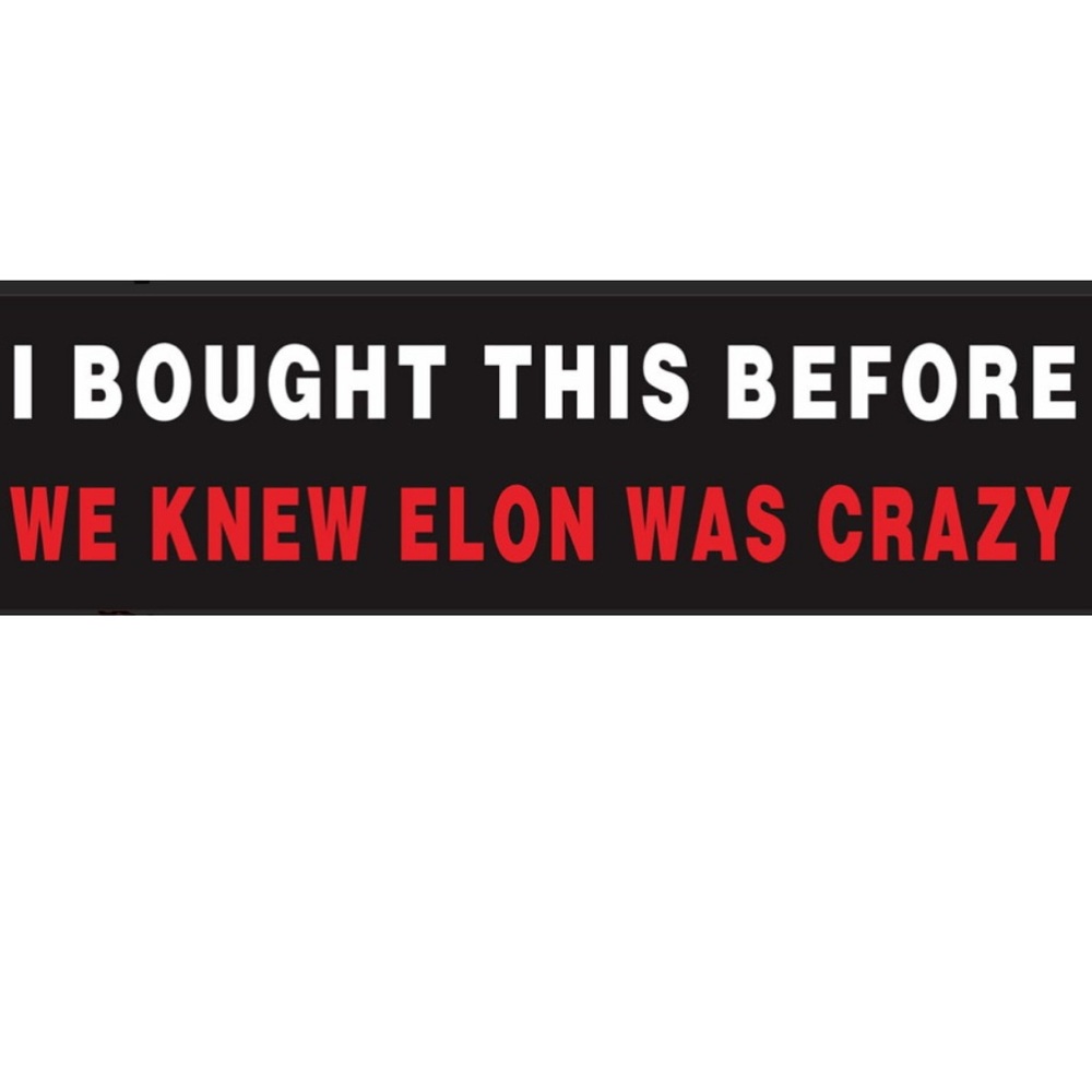 I Bought This Before Elon Was Crazy Car Bumper Sticker Decals Funny 2 for 1